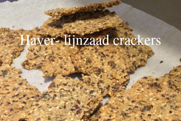 Haver- lijnzaad crackers