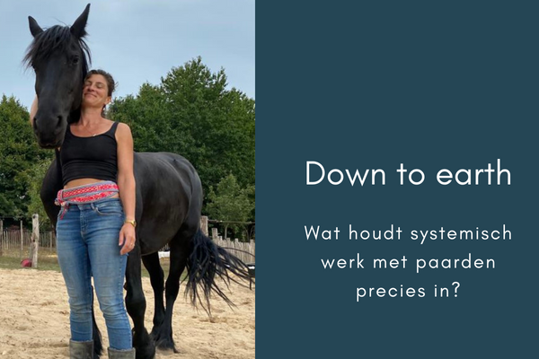 down to earth. systemisch werk met paarden
